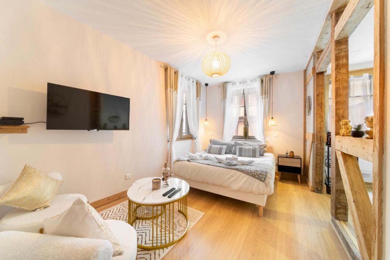 Au Petit Lion, Colmar Centre Garage Gratuit Apartment ภายนอก รูปภาพ