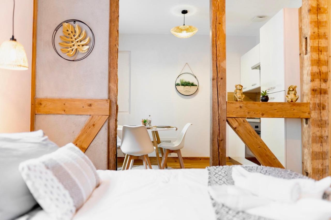 Au Petit Lion, Colmar Centre Garage Gratuit Apartment ภายนอก รูปภาพ