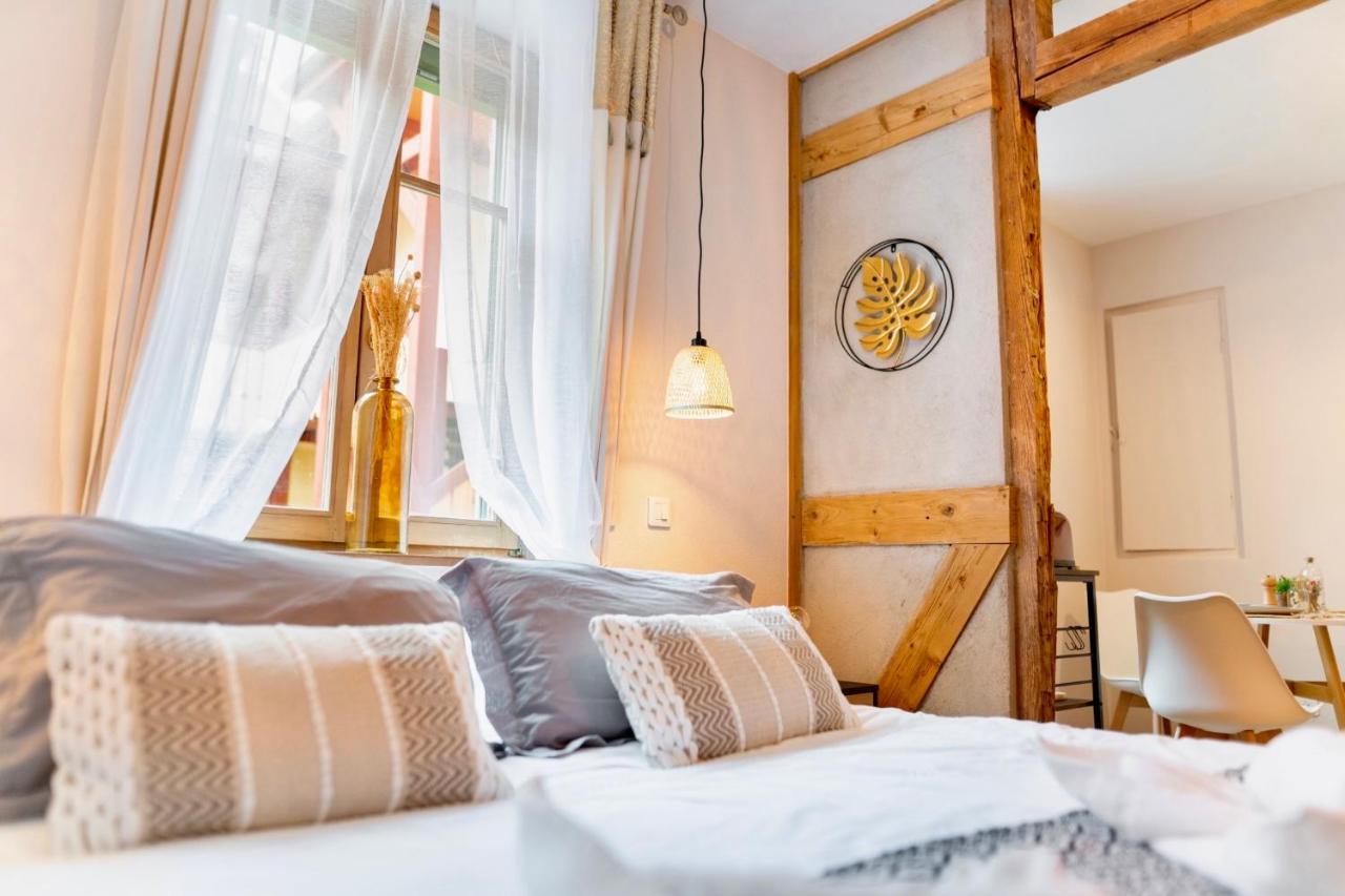 Au Petit Lion, Colmar Centre Garage Gratuit Apartment ภายนอก รูปภาพ